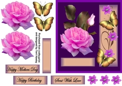 a rose for mother pink and purple