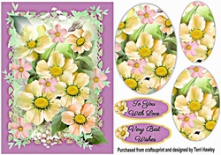 daisies with love