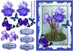 blue ris for your special day