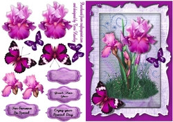 purple ris for your special day