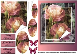 old roses with butterfies