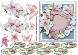 lily delight