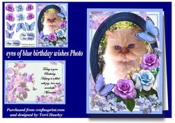 eyes of blue birthday wishes