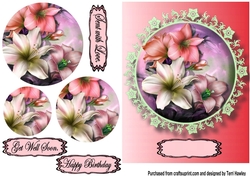 lily greetings pink