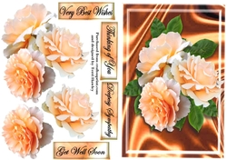 beautiful rose greetings