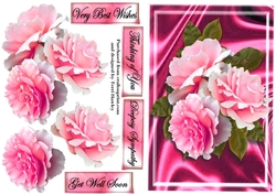 beautiful rose greetings pink