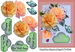 just for you roses