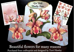 beautiful flowers for many reassons