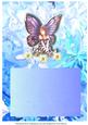 Fairies Birthday Insert