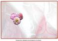 Dahlia Birthday Insert