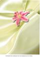 Best Wishes Lilies Insert