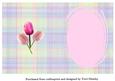 Tulip Insert