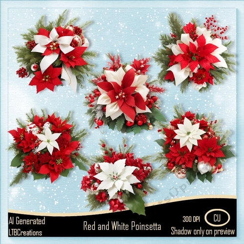 Red and White Poinsetta