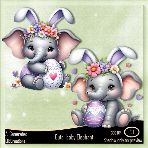 Cute Baby Elephant