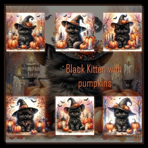 Kitten with Pumpkin