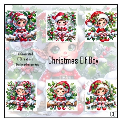 Christmas elf Boy