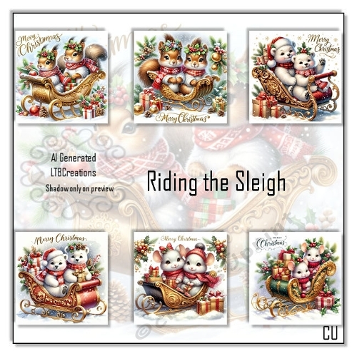 Riding the Sleigh