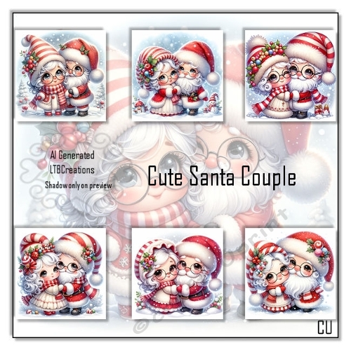 Cute Santa Couple