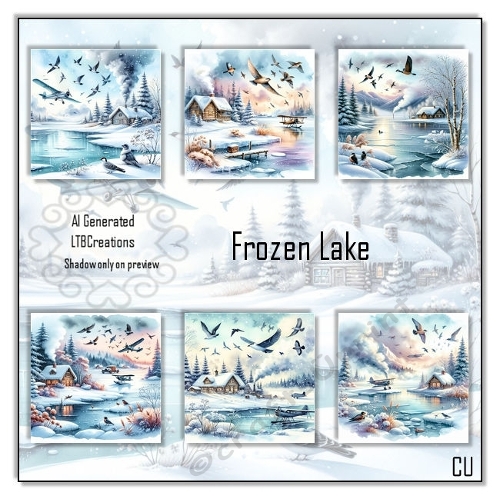 Frozen Lake