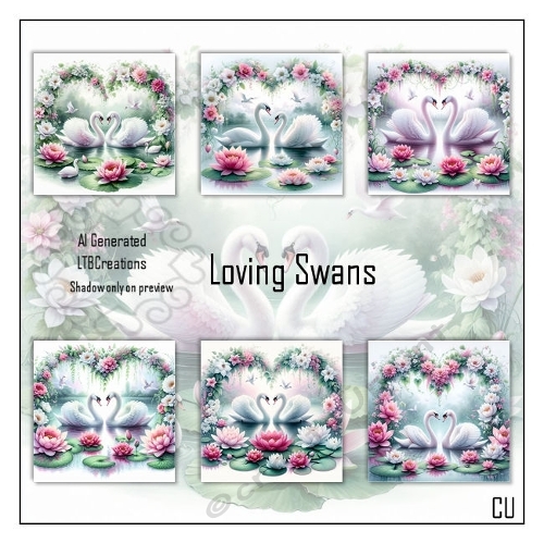 Loving Swans