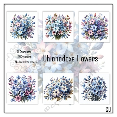 Chionodoxa Flowers