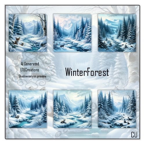 Winter Forest