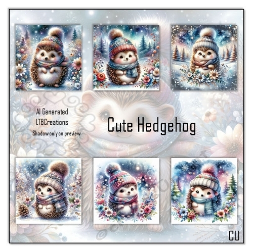 Cute Hedgehog