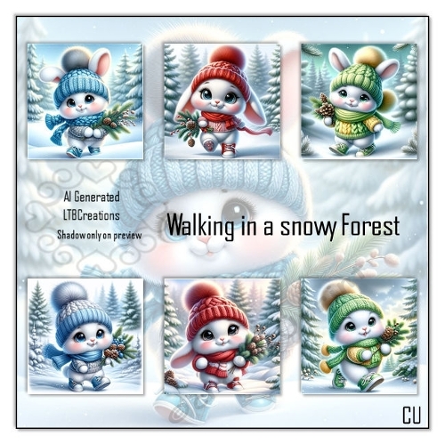 Walking in a snowy Forest