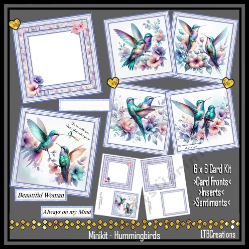 Minikit Hummingbirds