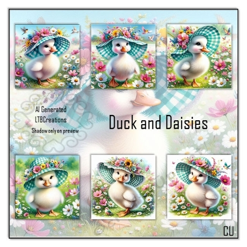 Duck and Daisies