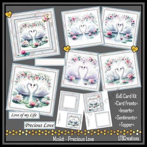 Minikit Precious Love