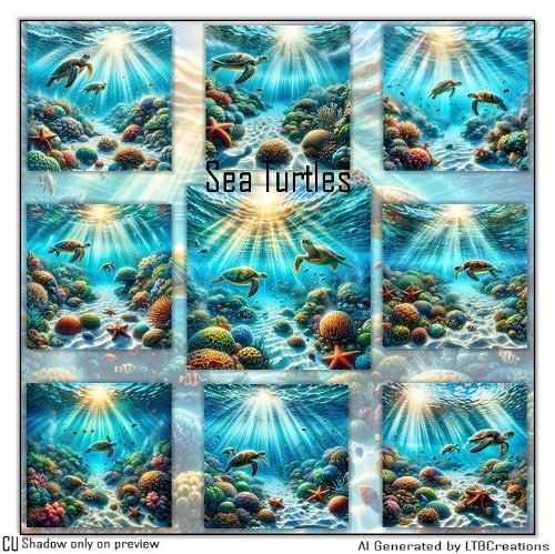 Sea Turtles