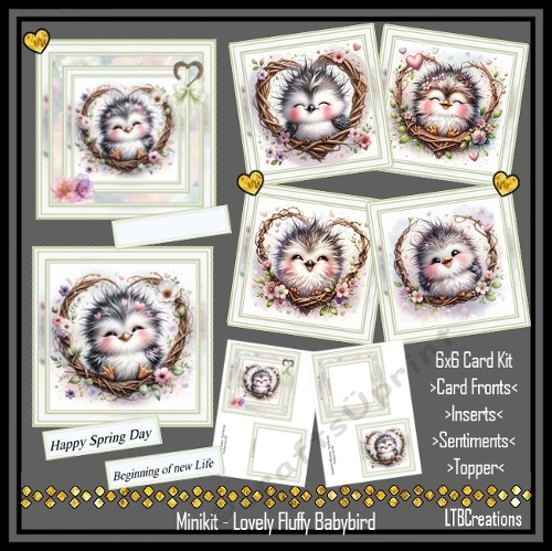 Minikit Lovely Fluffy Babybird