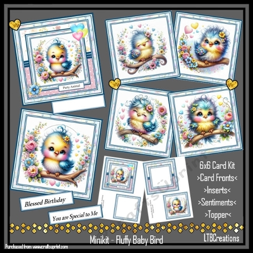Minikit Fluffy Baby Bird