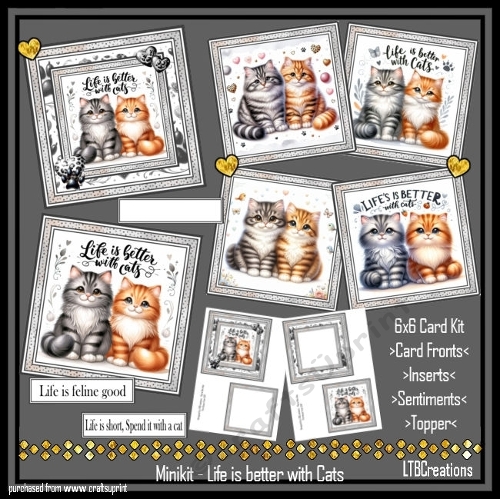 Minikit LIfe is better with Cats