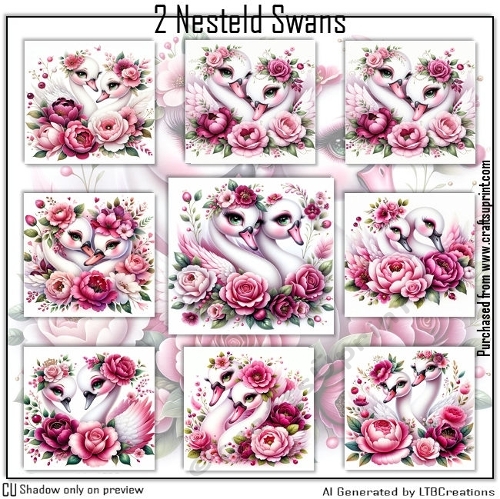 2 Nesteld Swans