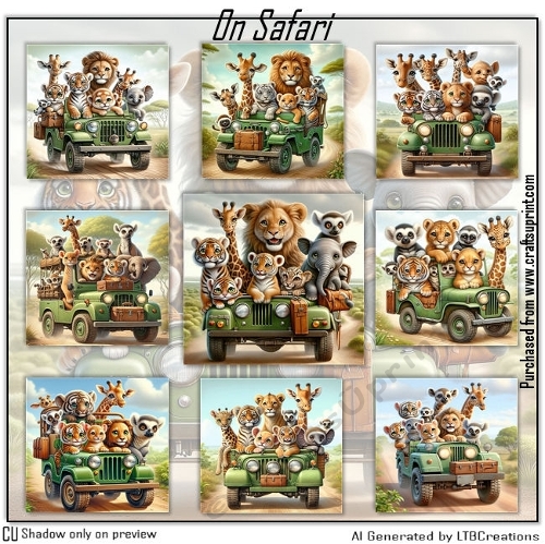 On Safari 
