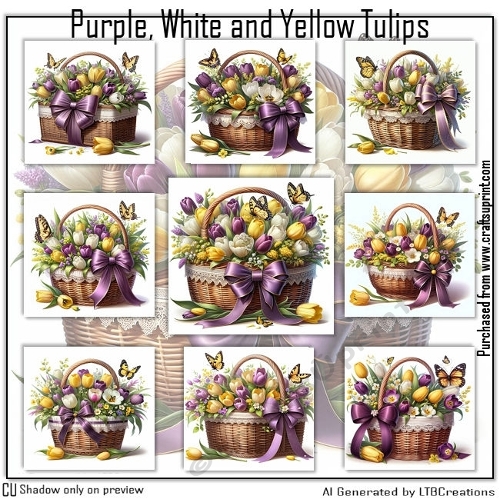 Purple, White and Yellow Tullips