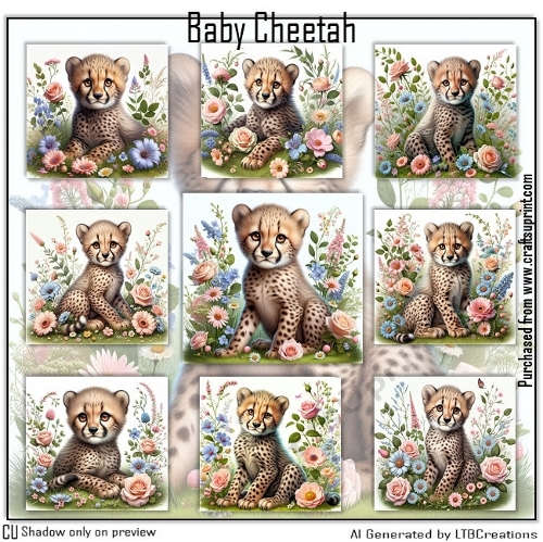Baby Cheetah