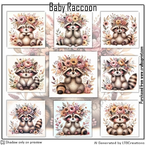 Baby Raccoon