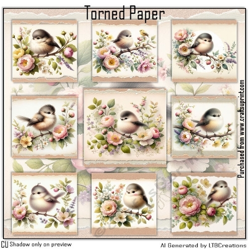 Torned Paper