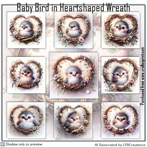 Baby Bird in  Heartshape Wreath