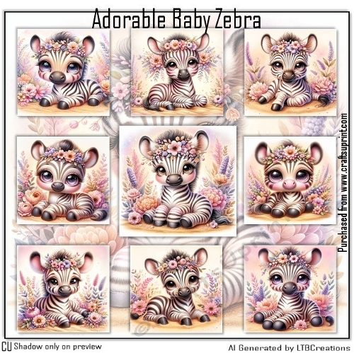Cute Adorable Zebra