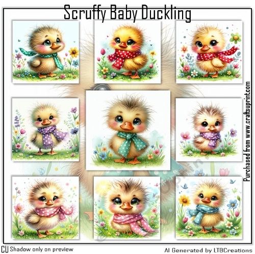 Scruffy Baby Duckling 