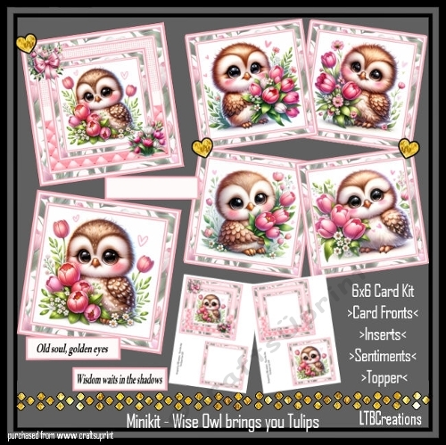 Minikit Wise Owl brings you Tulips 