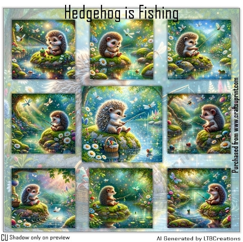 Hedgehog is Fishing