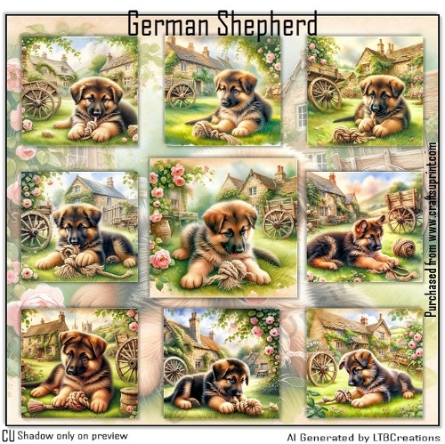 German Shephard