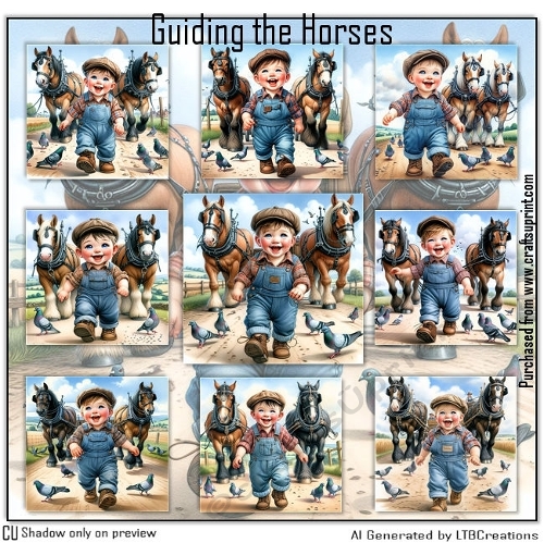 Guiding the Horses