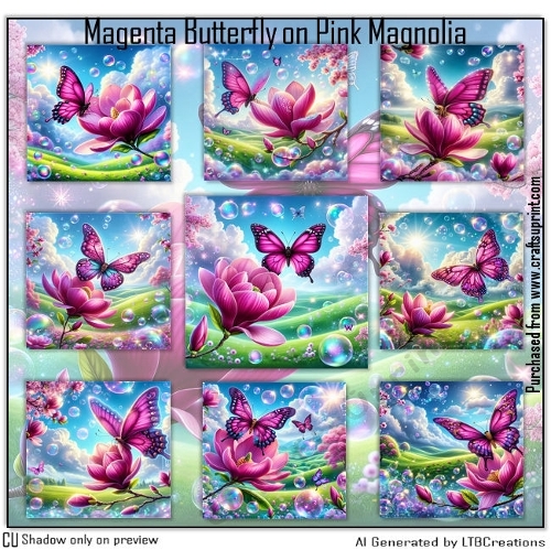 Magenta Butterfly on Pink Magnolia