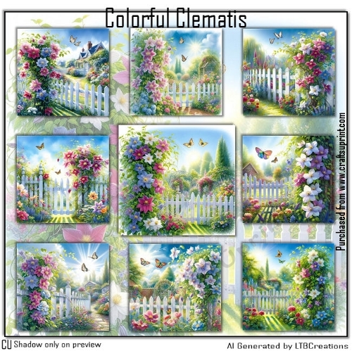 Colorful Clematis